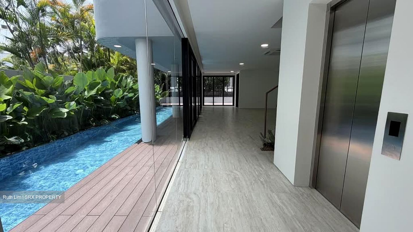 Henry Park (D10), Detached #533602801